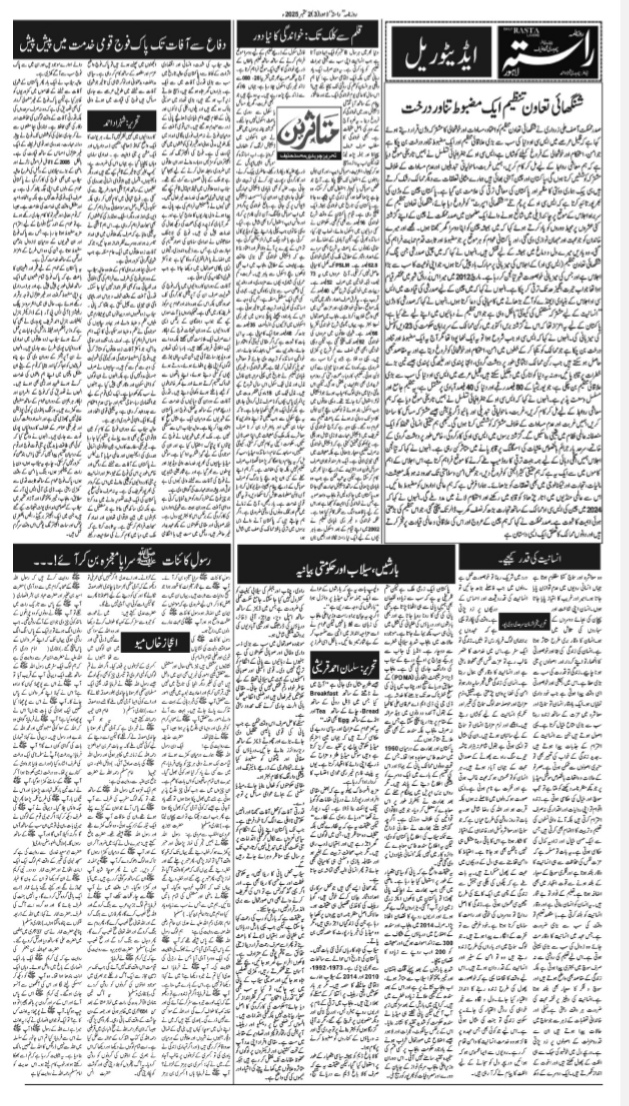 Newspaper