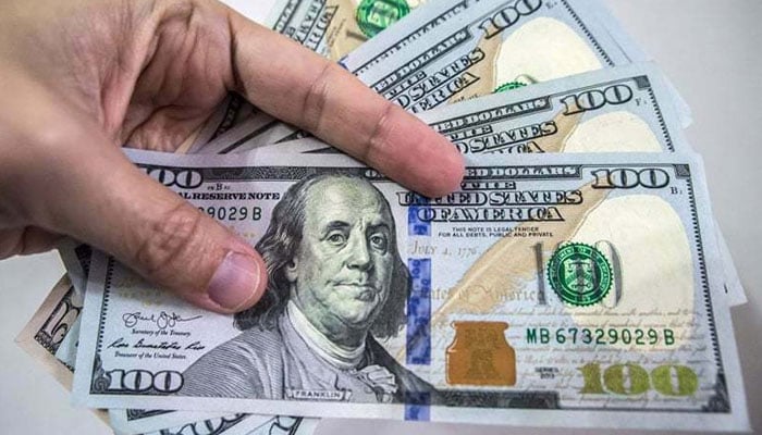 انٹر بینک: ڈالر تاریخ میں پہلی بار 295 روپے کا ہو گیا