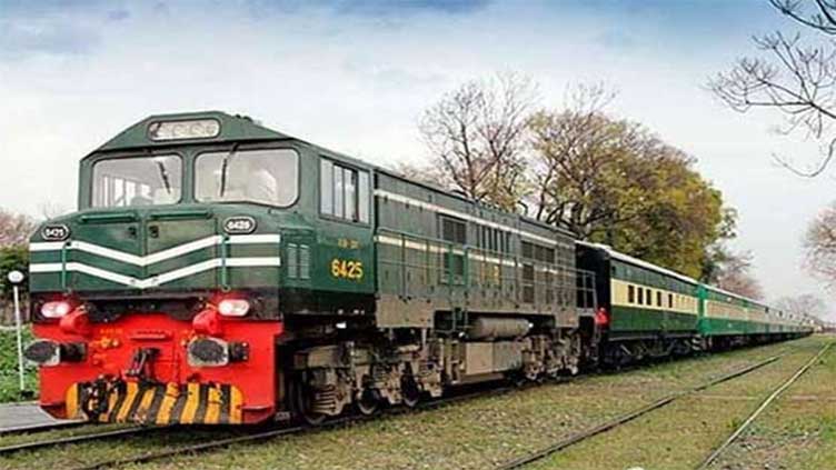 چنی گوٹھ؛ ہزارہ ایکسپریس کی زد میں آکر 50 سے زائد بھیڑیں اور 6 گائیں ہلاک